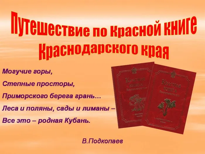 Слайд1
