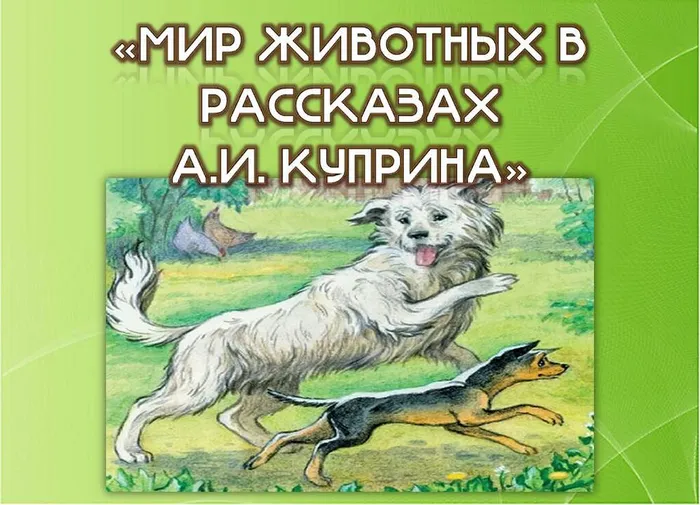 собаки