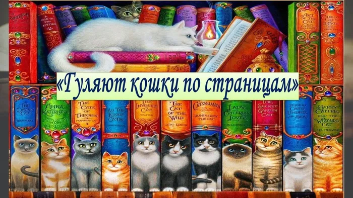 кошки.jpg