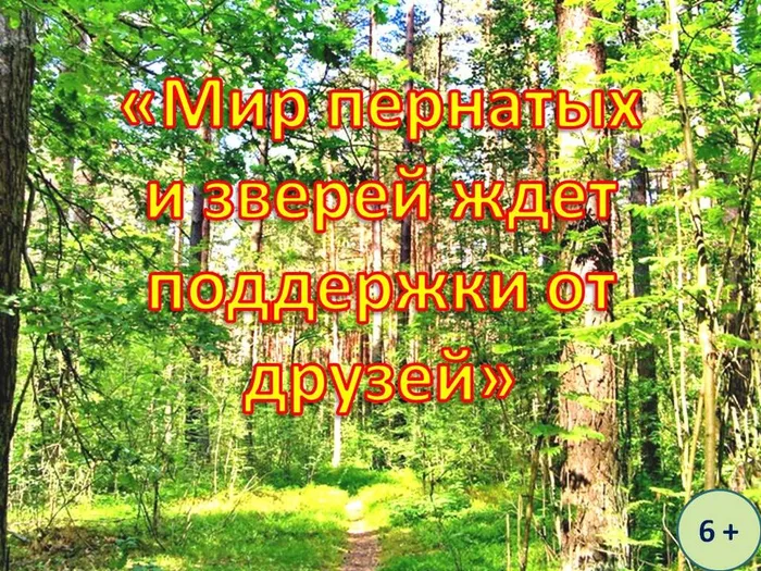 мир пернатых и зверей