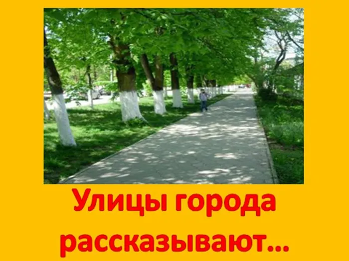 Презентация1