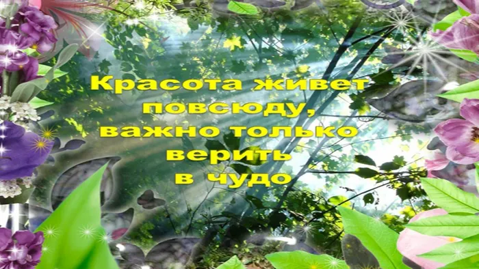 для сайта