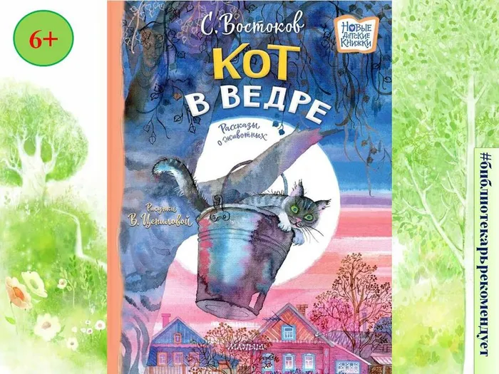 Востоков С.