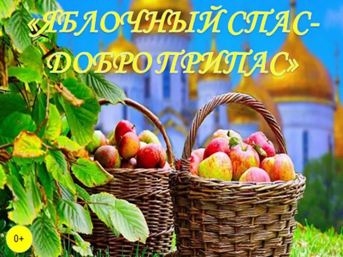 Презентация1