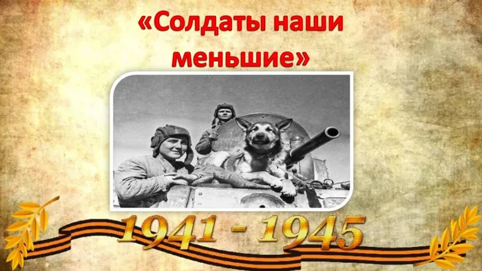 солдаты наши меньшие