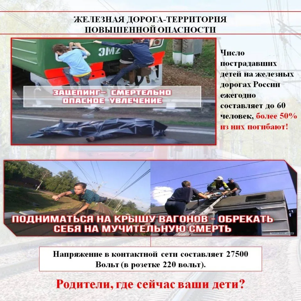 Слайд3