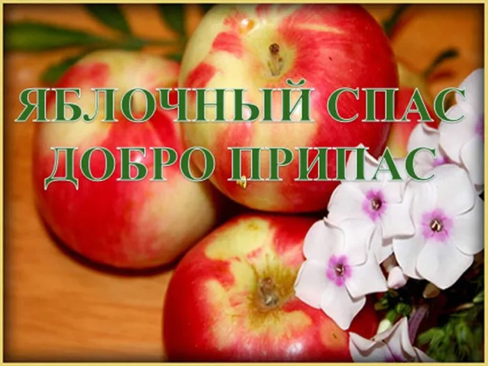 Презентация1