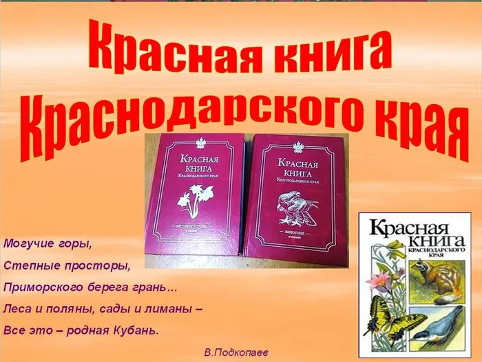 красная книга