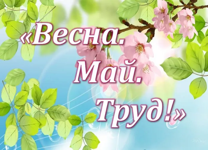 весна.jpg