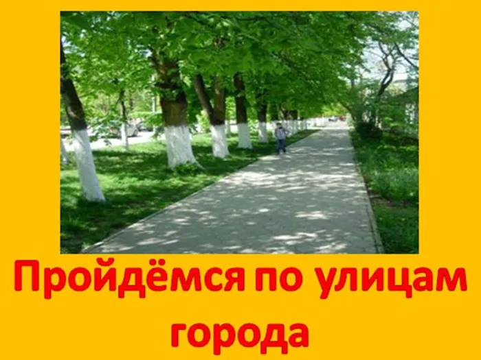 Презентация1